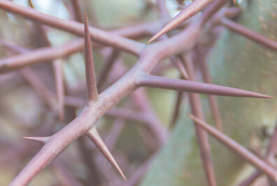 Pr&auml;vention: Gewalt