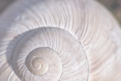 Pflege: Mobilit&auml;t