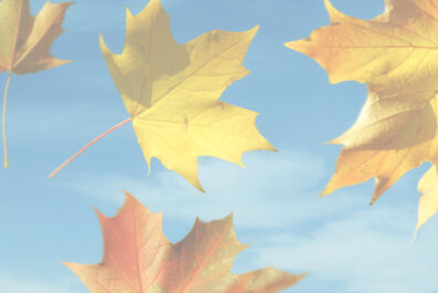 Pr&auml;vention: K&ouml;rperliche Aktivit&auml;t